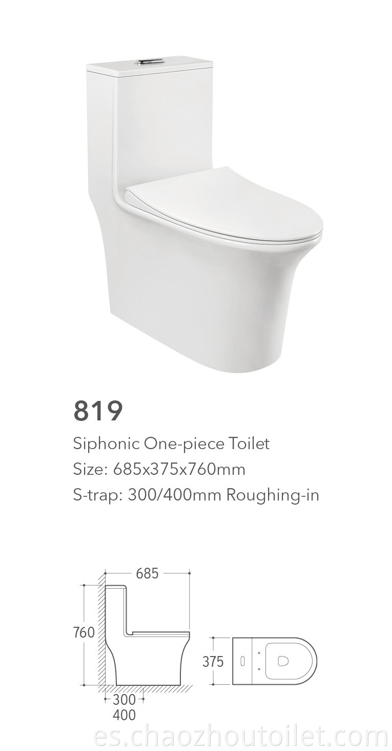 819 One Piece Toilet